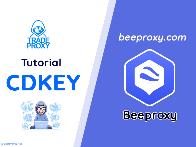 hướng dẫn nạp bee proxy bằng cdkey
