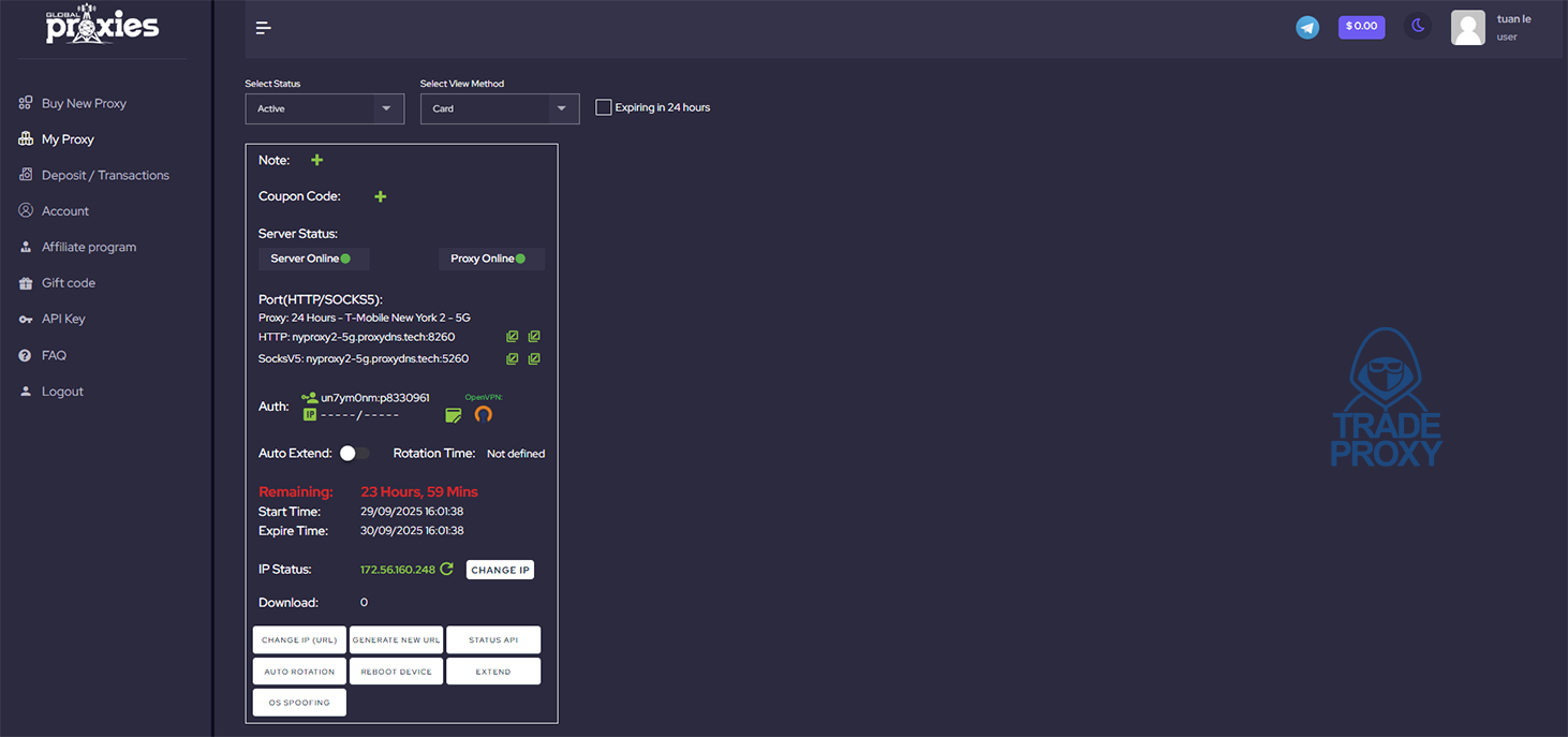 giao diện website global proxies